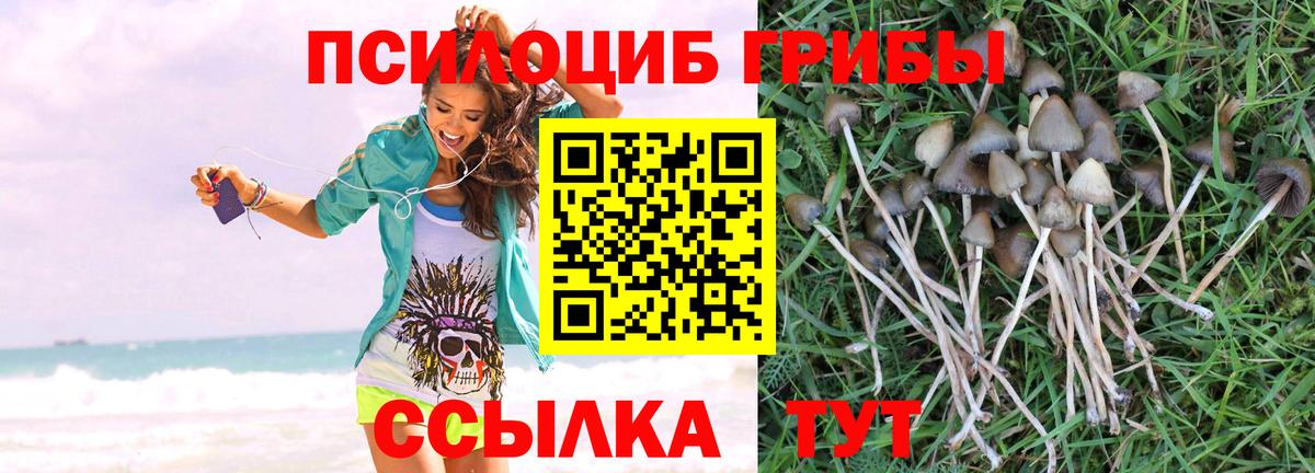 Долгопрудный  Псилоцибиновые грибы мухоморы  Галлюциногенные грибы Psilocybe  Вход с VPN 
